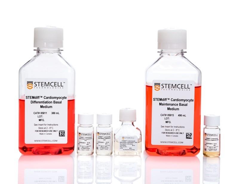 STEMdiff APEL2 Medium | 製品情報 | ベリタス STEMdiff APEL2 Medium | 製品情報 | ベリタス